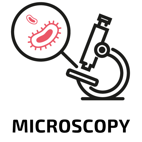Microscopy - photonics